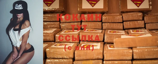 шишки Аркадак