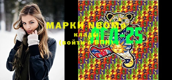 шишки Аркадак