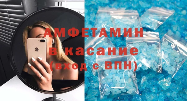 шишки Аркадак