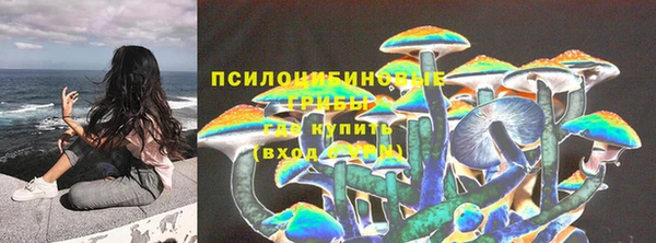 винт Арсеньев