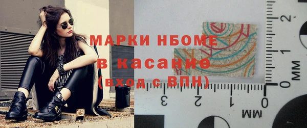 шишки Аркадак