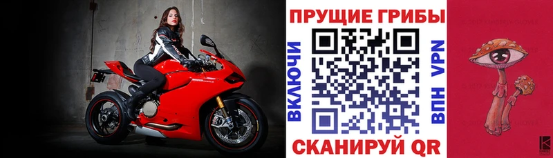 Псилоцибиновые грибы прущие грибы  Купить где  Скопин 